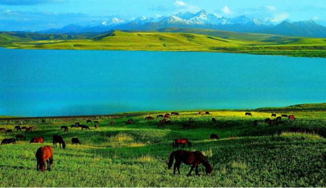 一起去大西北流浪,一起去大西北沙漠