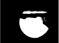 PS教程：灯泡中的金鱼