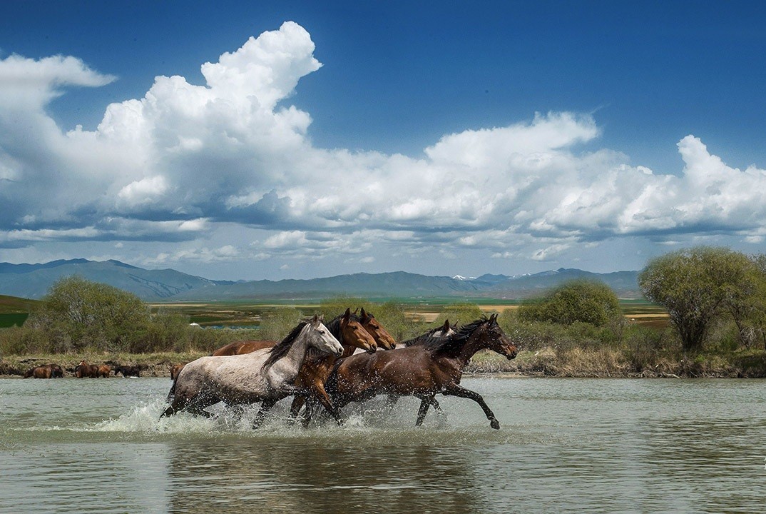险过独库，美过101，伊犁还私藏着这样一条经典之路！
