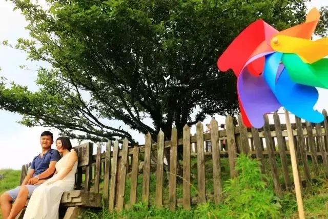 当百里荒遇上山楂树，预“谋”最纯爱的告白