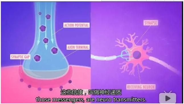 为什么吃抗抑郁药物会变好,抗抑郁药物没有效果是为什么