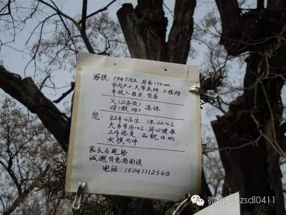 等我老了，就在大连这样过|终极版