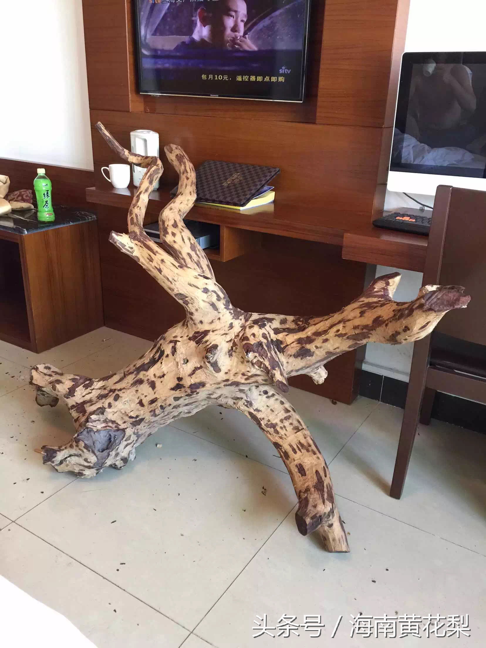 海南黄花梨老料欣赏,海南黄花梨老料还有多少