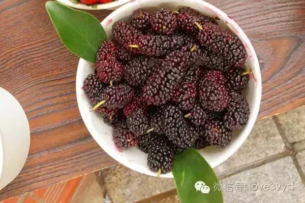 气血虚还容易上火吃什么食物调理,男人气血亏虚吃什么食物可以调理