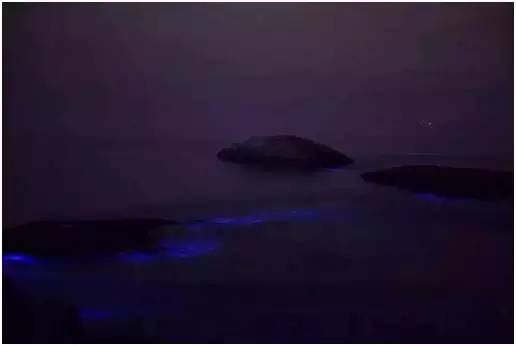 福鼎嵛山岛游玩朋友圈,渔山列岛打卡