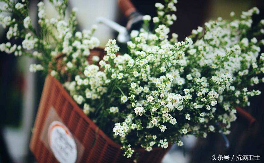 胃癌抗癌日记,胃癌晚期日记