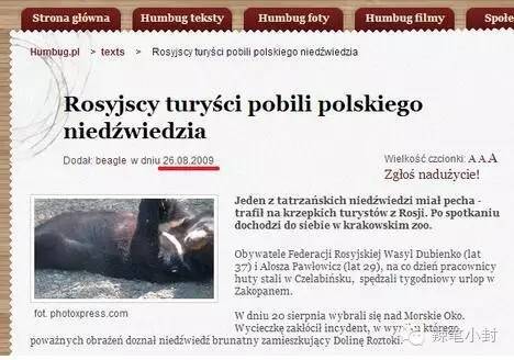 两名俄罗斯人把棕熊打成重伤？假的