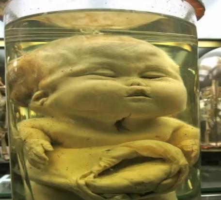 世界十大博物馆之恐怖博物馆 (世界上最恐怖的博物馆泰国)