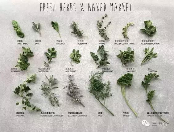 西餐里的那些“杂草”都是啥？一篇文章带你认识香草