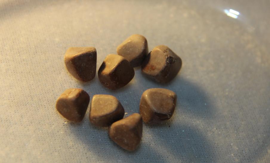 胆结石有没有必要保胆,17岁胆结石手术保胆好还是切除好