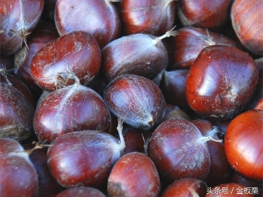 金板栗网商家招商,金栗网络科技有限公司