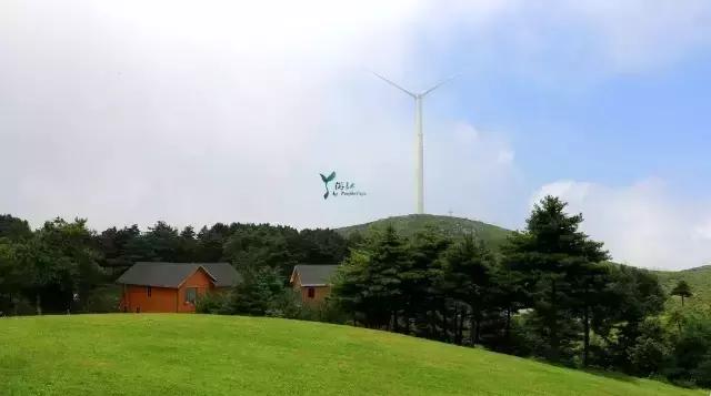 当百里荒遇上山楂树，预“谋”最纯爱的告白