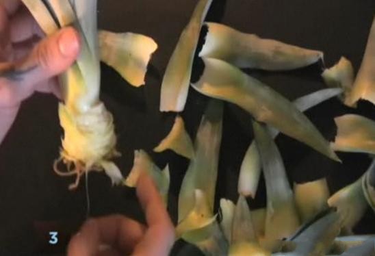 菠萝自己在家怎么种,菠萝在家自己怎样种植