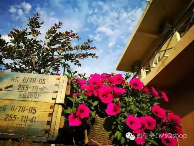 这个夏天送你一家海岛民宿,小众海岛民宿