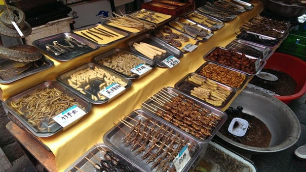 舌尖上的昆虫完整视频,舌尖上的昆虫