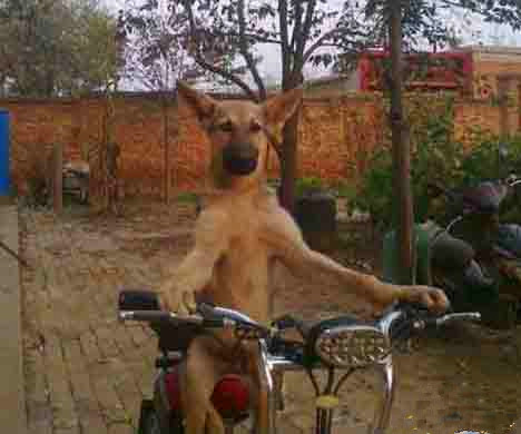 这就是高富帅和你的区别