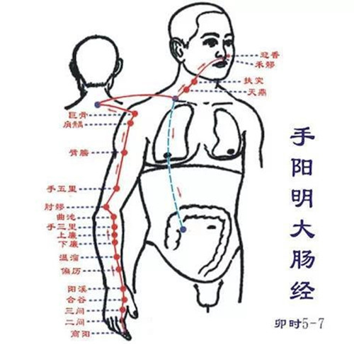 大肠经不通引起牙痛如何解决,大肠经不通会引起口干吗