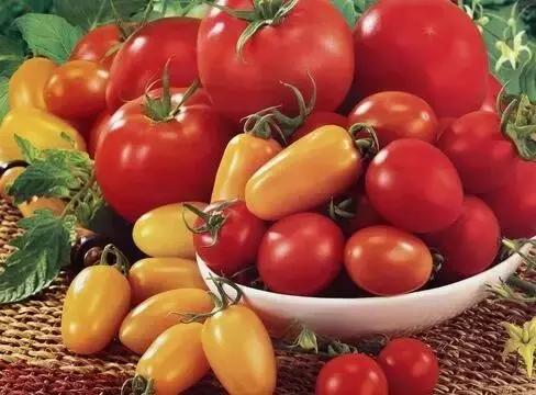 气血足面色白皙红润,气血不足吃什么食物能补足