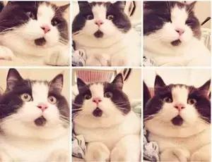 你买到的面膜很可能是“皮肤*片鸦**”，福州姑娘们关注了！