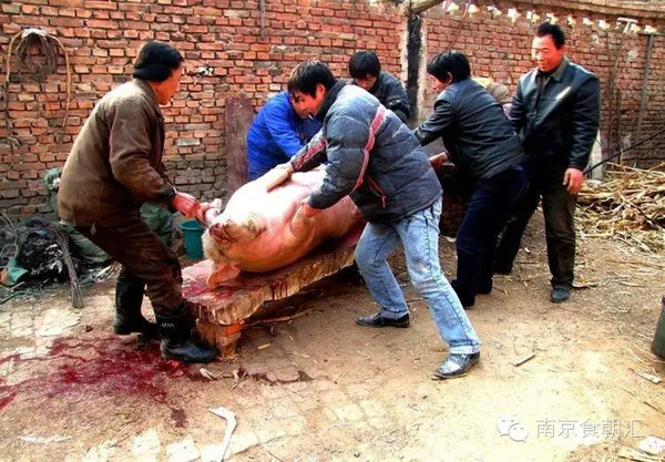 有钱没钱回家过年完整版,有钱没钱回家杀猪过年