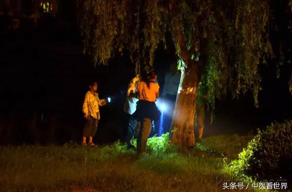 夏天有什么好的中成药,夏天有什么好用的药