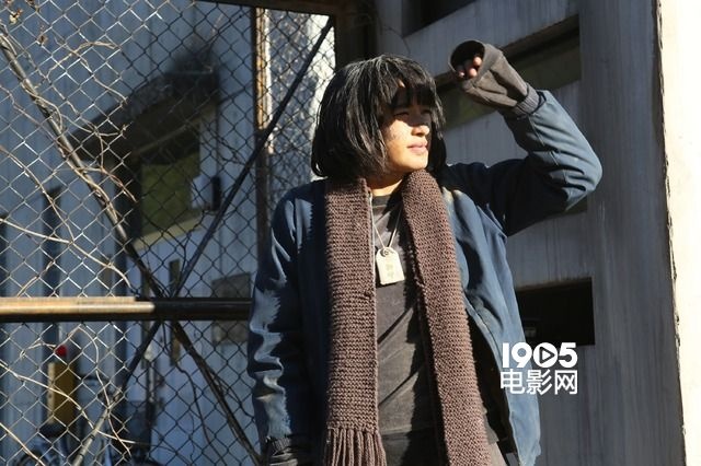 太阳曝光照,太阳照曝光