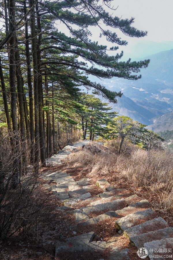 户外运动打底衣评测,icebreaker冲锋衣