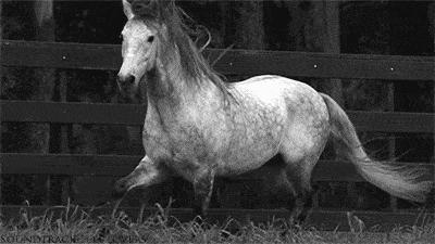 2023年厦门保障租赁房申请材料,在厦门申请保障房需要什么条件