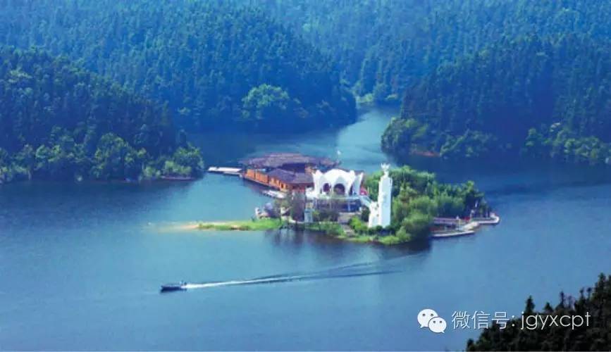 李连义访谈,李连义的电影