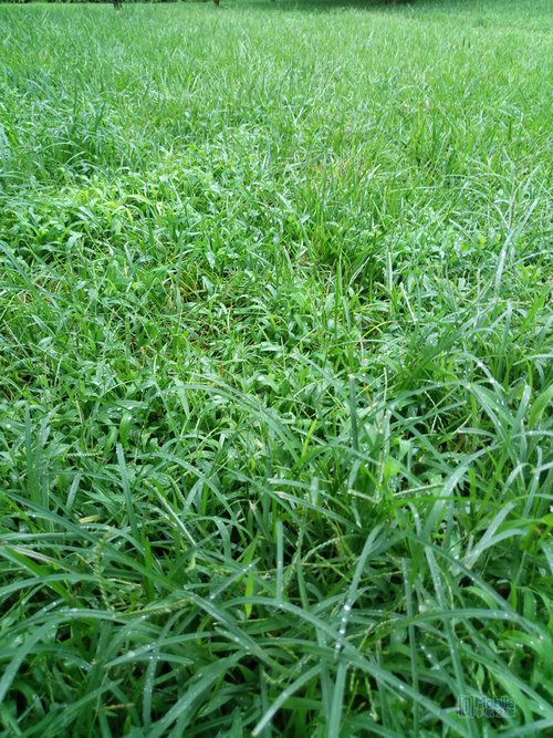 乐2pro手机好用吗,乐2pro评测视频