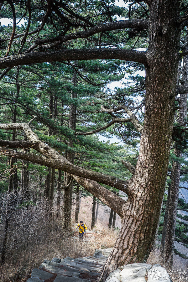户外运动打底衣评测,icebreaker冲锋衣