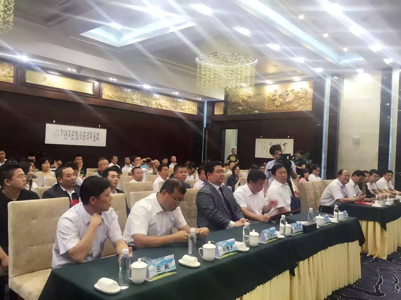 81匹新西兰纯血马及赛事用马助力驭马文化节，精彩不容错过！