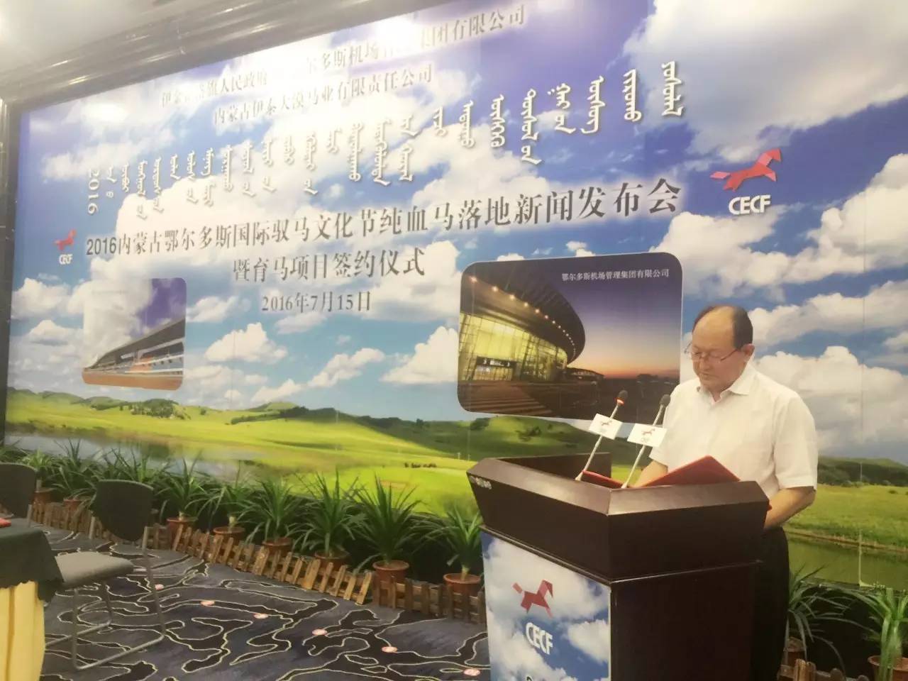 81匹新西兰纯血马及赛事用马助力驭马文化节，精彩不容错过！