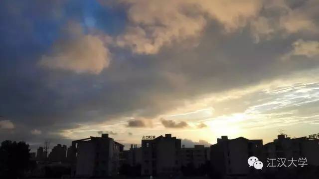 姹熷ぇ缇庢櫙,濮滃ぇ缇庝附