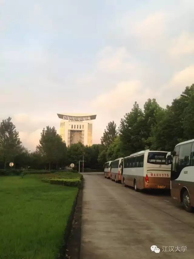 姹熷ぇ缇庢櫙,濮滃ぇ缇庝附