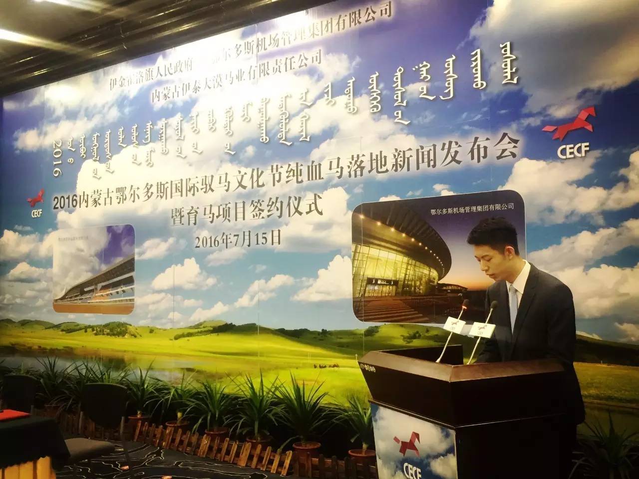 81匹新西兰纯血马及赛事用马助力驭马文化节，精彩不容错过！