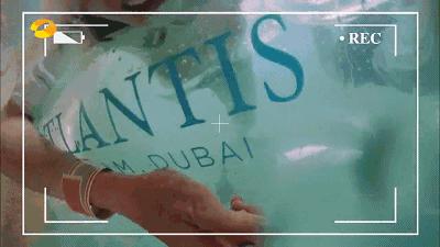 南昌发布高温红色预警,南昌高温最新预警