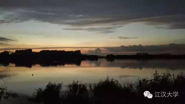 姹熷ぇ缇庢櫙,濮滃ぇ缇庝附