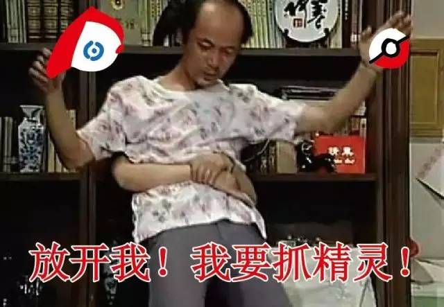 国内怎么玩pokemongo2020,大陆怎么才可以玩pokemongo