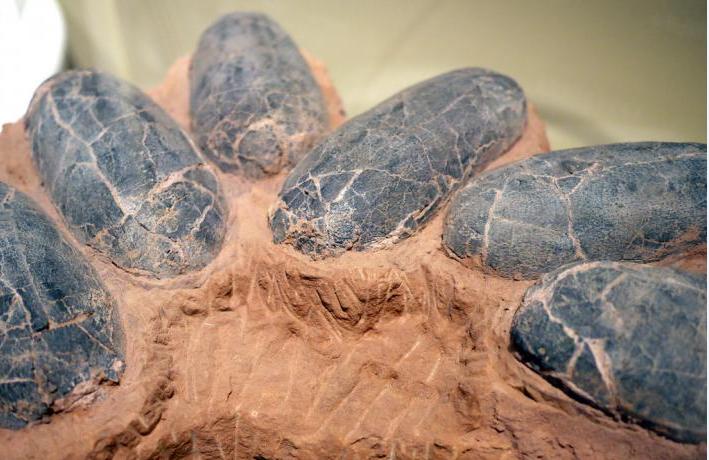 小孩脚下的足球，考古学家眼中的国宝，如今已震惊世界