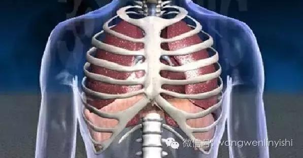 漏斗胸的治疗方法和关注事项,漏斗胸的正确解决方法