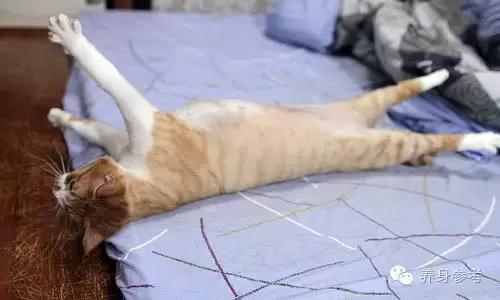 预防心脑血管最好的方法,护脑最好的动作