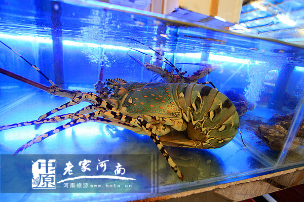 金秋沙巴游 (暑假去沙巴旅游攻略)