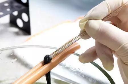 最奇葩的美容法,千年不传的美容秘方