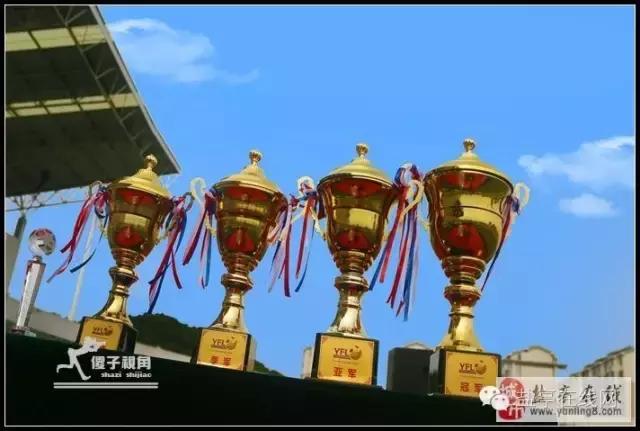 2020绵阳市足球联赛颁奖仪式,盐亭县比赛