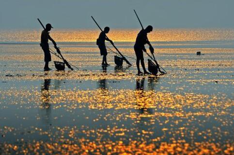 值得去的海岛游玩,南京附近海岛推荐
