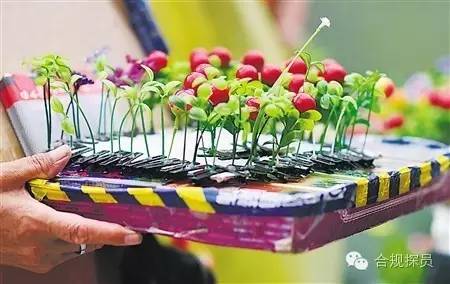 知识产权表情包图片,知识产权销售表情包