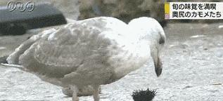 搞笑趣图真的假的,股市行情搞笑表情趣图