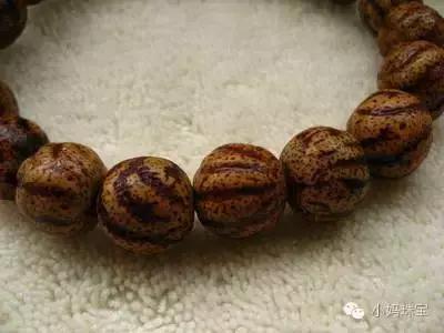 菩提要怎么介绍它的特色,菩提要懂的知识