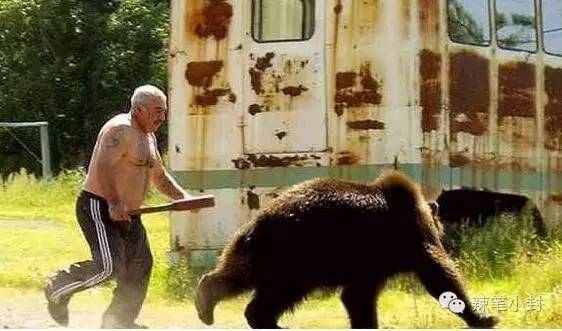两名俄罗斯人把棕熊打成重伤？假的